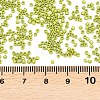 MIYUKI Delica Beads SEED-MY11-DB2309-3