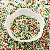 Baking Paint Glass Seed Beads X-SEED-S042-05B-51-2