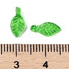 Transparent Acrylic Charms X-TACR-F009-11E-3