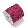 100M Nylon Thread NWIR-XCP0001-13-2