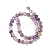 Natural Amethyst Beads Strands G-P489-05-3