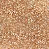 MIYUKI Round Rocailles Beads SEED-G008-RR0234-2