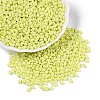 Baking Paint Glass Seed Beads SEED-T006-03D-3