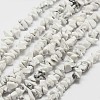 Natural Howlite Beads Strand X-G-F328-05-1
