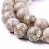 Natural Maifanite/Maifan Stone Beads Strands G-I187-10mm-01-7