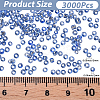 45G about 3000pcs Glass Seed Beads SEED-PA0001-29A-02-2