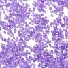 Imitation Cat Eyes Glass Seed Beads X1-SEED-H003-03F-3