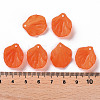 Transparent Frosted Acrylic Pendants MACR-S371-01A-726-4