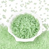 FGB Frosted Transparent Glass Seed Beads SEED-N013-05A-08-2