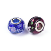 Mixed Styles Handmade Lampwork Glass European Beads LPDL-L002-M-2