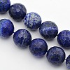 Natural Lapis Lazuli Beads Strands G-J376-51B-14mm-1