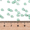 Glass Seed Beads SEED-T007-01M-4