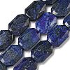 Natural Lapis Lazuli Beads Strands G-P544-B10-01-1