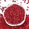 6/0 Spray Paint Fringe Glass Seed Beads X1-SEED-H003-11F-3