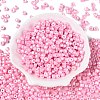 Baking Paint Pearlized Glass Seed Beads SEED-T008-03H-2