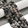 Natural Black Netstone Beads Strands G-P497-01E-73-2