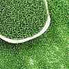 11/0 Grade A Transparent Glass Seed Beads X-SEED-Q007-F49-2