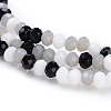Glass Beads Strands GLAA-F106-B-15-3