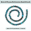 Natural Chrysocolla Gemstone Beads Strands G-OC0001-12-4
