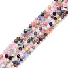 Natural Mixed Stone Faceted Beads Strands G-K311-46C-1