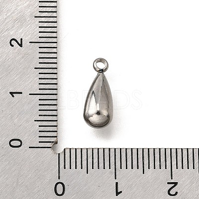 304 Stainless Steel Charms STAS-C122-07P-1