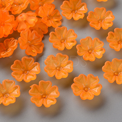 Transparent Frosted Acrylic Bead Caps MACR-S371-04A-725-1