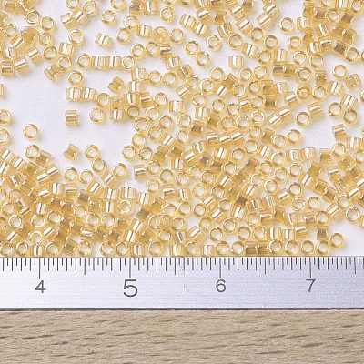 MIYUKI Delica Beads SEED-MY11-DB0100-1