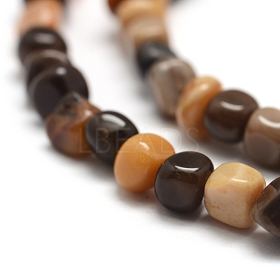 Natural Petrified Wood Beads Strands G-F465-20B-1