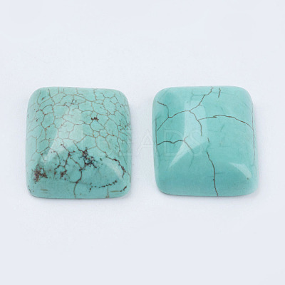 Natural Howlite Cabochons TURQ-L028-07-1