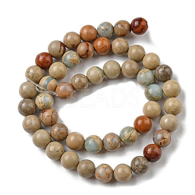Natural Aqua Terra Jasper Beads Strands G-E444-14B-10mm-1