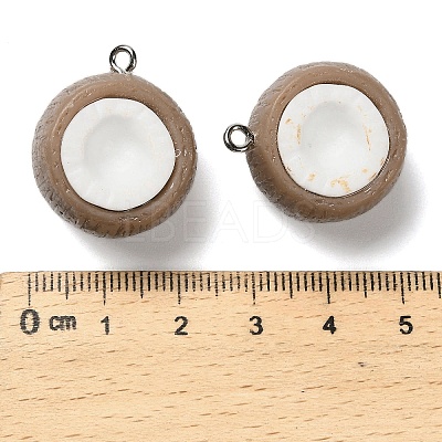 3D Fruit Theme Opaque Resin Pendants RESI-G113-01C-1