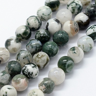 Natural Tree Agate Beads Strands G-I199-03-4mm-1