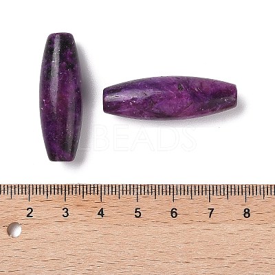 Natural Kunzite Beads G-Q017-02-1