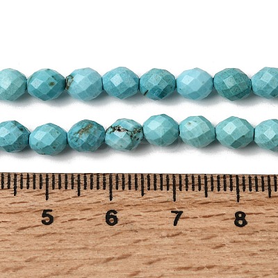 Dyed Natural Howlite Beads Strands G-K376-F06-01-1