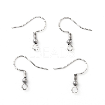 Tarnish Resistant 316 Surgical Stainless Steel Earring Hooks STAS-N019-02-1