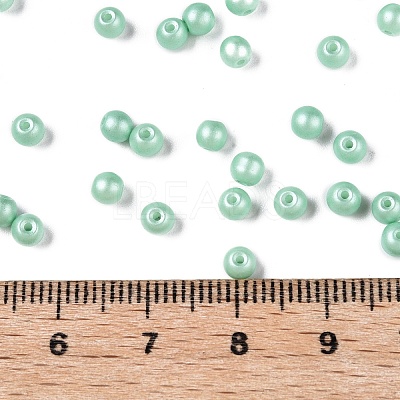 Glass Seed Beads SEED-T007-01M-1