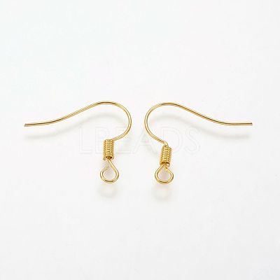 Brass Earring Hooks KK-Q363-G-NF-1