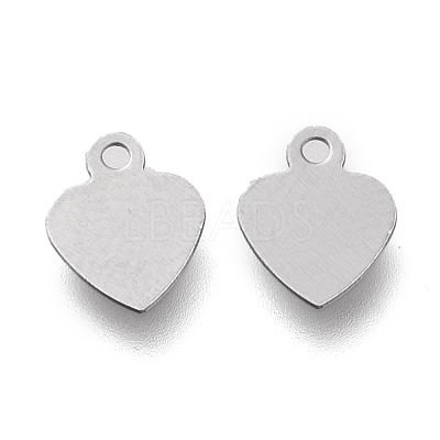Non-Tarnish 304 Stainless Steel Charms STAS-K195-13P-1