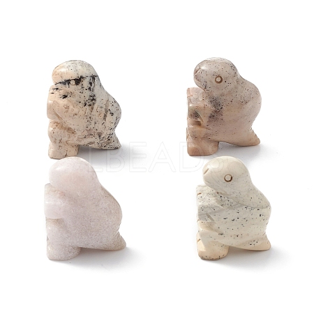 Natural Crazy Agate Display Decoration G-C022-02B-1