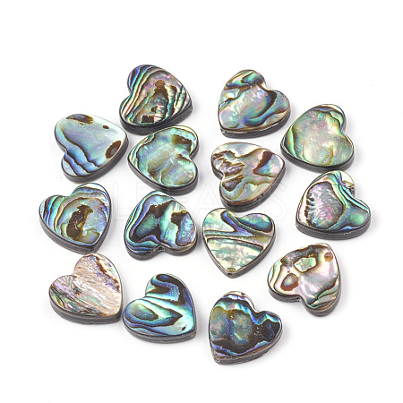 Abalone Shell/Paua Shell Beads X-SHEL-T005-01-1
