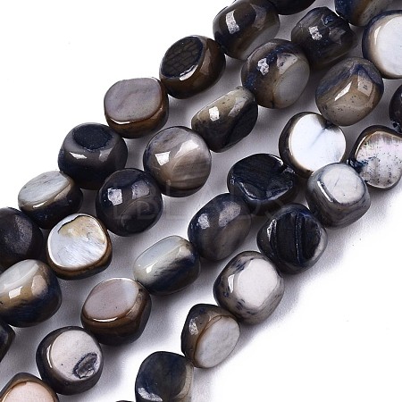 Natural Freshwater Shell Beads Strands SHEL-S276-110A-01-1