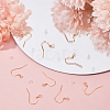 120Pcs Brass Earring Hooks KK-BBC0002-49-4