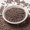 MIYUKI Round Rocailles Beads SEED-G008-RR4455-2