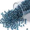 TOHO Round Seed Beads SEED-XTR08-0188-1