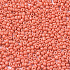 12/0 Glass Seed Beads SEED-S060-A-F419-3