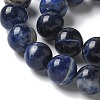 Natural South Africa Sodalite Beads Strands G-S259-35-10mm-5