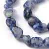 Natural Blue Spot Jasper Beads Strands G-B039-02B-3