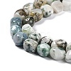Natural Tree Agate Beads Strands G-C038-02O-4