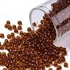 TOHO 8/0 Round Beads X-SEED-TR08-2154-1