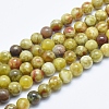Natural Serpentine Jade Beads Strands G-P353-06-8mm-1